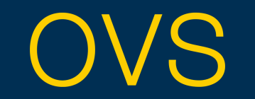 OVS logo